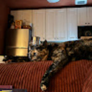 Meet your Posher, Verdah